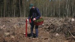 Pottiputki Istutusputki 50 Mm DP -Uittokalusto Kauppa 366371356 640 3