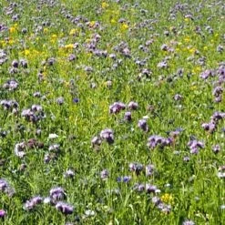 Diana Mesi- Ja Perhospelto 3 Kg