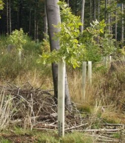 Tubex-Ventex Runkosuoja