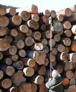 Spraypullon Jatkovarsipidike -Uittokalusto Kauppa h539 sparypullon jatkovarsi 2