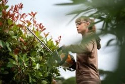 Stihl HSA 56 Akkupensasleikkuri 9 Stihl HSA 56 Akkupensasleikkuri -Uittokalusto Kauppa hsa56 action xv