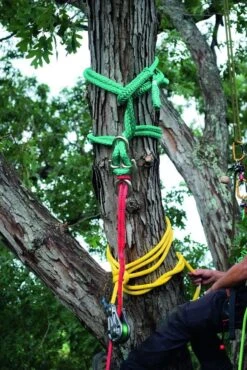 Notch Backbone -Uittokalusto Kauppa r901 2